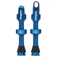 Hope Blue Tubeless Valve Pair