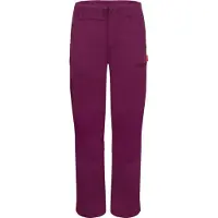 TROLLKIDS - Kids Hammerfest Pants Pro Slim Fit - Trekkingbroek 134, purper