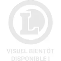 Universal Music Stephen Sanchez - Love, Love, Love (LP) (Coloured Vinyl)