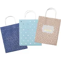 Folia cadeauzakjes kraftpapier met hotfoil versiering 120x55x150mm