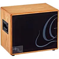 Ortega S-two 150W akoestische gitaarspeakerkast