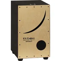 Roland EC-10 ELECTRO ACOUSTIC CAJON