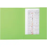 Exacompta DOSSIERMAP FOREVER 290GR 2KLEPPEN GROEN
