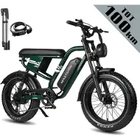 Maxtron MX10 Elektrische Fiets – 20×4.0 Inch Fatbike – 48V 13.5Ah Accu – Actieradius tot 100 km – Mechanische Schijfremmen – Stadsfiets – Max. Belastbaar 120 kg –Groen