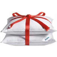 AltijdGoedSlapen Hoofdkussen set (2) Ariane 15% dons 1200 gram gevuld 60x70 cm