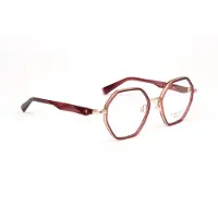 Ana Hickmann Optical Frame HIY1025 T02 50 Titanium