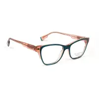Ana Hickmann Optical Frame HIY6017 H02 50