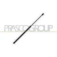 PRASCO AD3249065 Gasveer achterklep