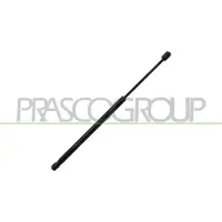 PRASCO JE1009055 Gasveer achterklep