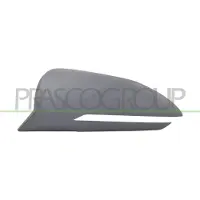 PRASCO HN8107424 Afdekking, buitenspiegel