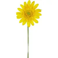 Easyplants | Kunstbloem Gerbera 53 cm geel | Zijde | Nepbloemen | geel | Onderhoudsvrij | Kant-en-klaar