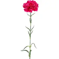 Easyplants | Kunstbloem Anjer 69 cm hardroze | Zijde | Nepbloemen | roze | Onderhoudsvrij | Kant-en-klaar