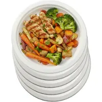 Pure - Disposable Tableware Pure suikerriet lunch bordjes - 24x stuks - 23 cm - wit - biologisch afbreekbaar - wegwerp - bbq - verjaardag