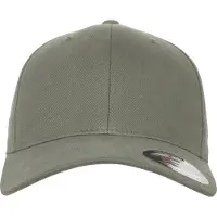 Flexfit Pet pastelgroen