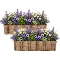 Mega Collections Planten/bloemen mand Levi - 2x - rotan - rechthoekig - naturel - 50 x 15 x 17 cm - plantenpot voor buiten