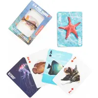 Kikkerland - Fish 3D Cards