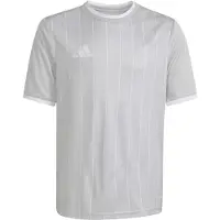 Adidas Entrada26 Graphic Jersey Kids