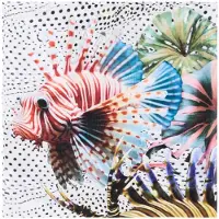 Desigual Doek gemengde kleuren / wit