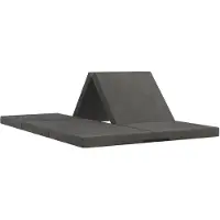 vidaXL Vouwbare Sofa Bed 140 x 67 x 15 cm Donkergrijs
