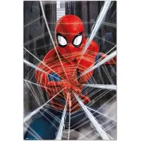 Noname Spider-Man Gotcha Poster 61x91.5cm
