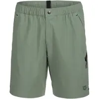 Arena Zwemshorts 'EVO WALKING BERMUDA' groen