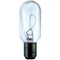 Hella 8GA 003 488-311 Gloeilamp, instrumentenverlichting