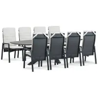 Lifestyle Garden Furniture Lifestyle Vivaro/Voyage 300x120 cm dining tuinset 9-delig