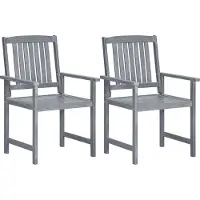The Living Store Tuinstoelen - Acaciahout - Grijs - 60x57x92 cm - Set van 2