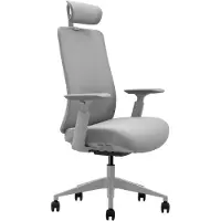 Worktrainer Bureaustoel Vane - Grijs - Ergonomisch NEN-EN 1335 - Schuifzitting, Lendesteun & 3D Armleggers - Met hoofdsteun