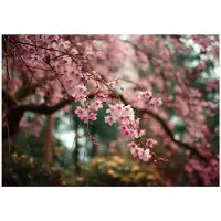 WALLARENA - Behang 350x250 cm - Fotobehang - Vliesbehang - Bloemen motif - Voor de slaapkamer van de salon - Op Flizelinie
