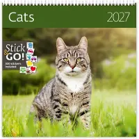 Helma Katten Kalender 2027