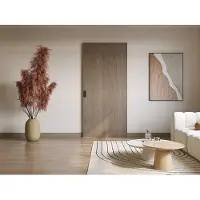 Vente-unique Schuifdeur van hout en mdf met onzichtbare rails - Licht eiken - 93 x 210 cm - BOCAZI