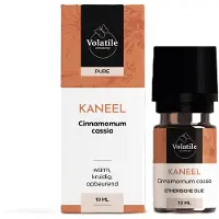 Volatile Kaneel Cinnamomum Cassia 10 ml