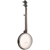 Gold tone Ac-12 Banjo 5