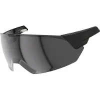 ABUS MagneticVisor voor de fietshelm HYP-E - en de varianten ACE en BL.ACE - magnetisch helmvizier beschermt tegen wind en weer - fietshelmaccessoires - maat S/M, smoke