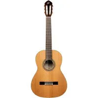 Ortega Traditional Series R20GWN klassieke gitaar met gigbag