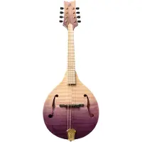 Ortega Americana A-Style Mandolin + Croco Leather Case