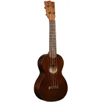 Martin Ukulele Centennial Concert