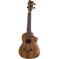 Vgs Concert Ukelele Manoa Special Concert