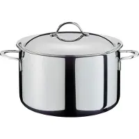 Spring Cristal kookpan met deksel 16 cm, 2,0L