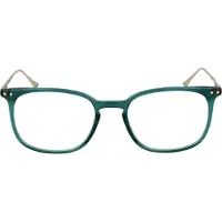 Taylor Morris Brilrand TM06 C4 49