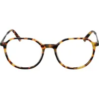 Taylor Morris Brilrand SW2 C3 51