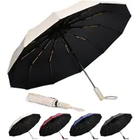 VHV - Paraplu - Paraplu opvouwbaar - Stormbestendige reisparaplu - Automatisch openen/sluiten - Klein en compact - Draagbare paraplu voor mannen en vrouwen - Beige