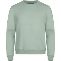 Clique Miami Roundneck Saliegroen maat M uniseks