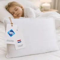 Zavelo Mimi Kinderkussen - Peuterkussen vanaf 2 jaar - 60x70 cm - Luxe uitvoering - Katoen - Dikke Gewatteerde Tijk