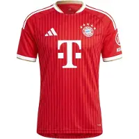 Adidas Tricot 'FC Bayern München 26/27' camel / rood / donkerrood / wit