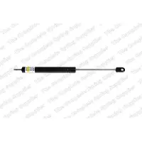LESJÖFORS 8166703 Gasveer achterklep