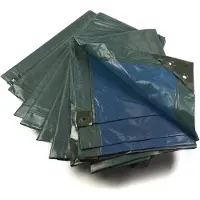 Westfalia Afdekzeil, groen/blauw, extreem sterk 150 g/m², 3 x 4 m