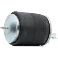 RIDEX 4119A0069 Luchtbalg
