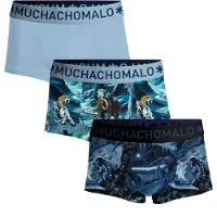 Muchachomalo Heren 3-pack trunks prehistory